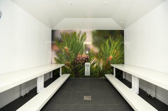 Акватермальные комплексы: Фотография 11